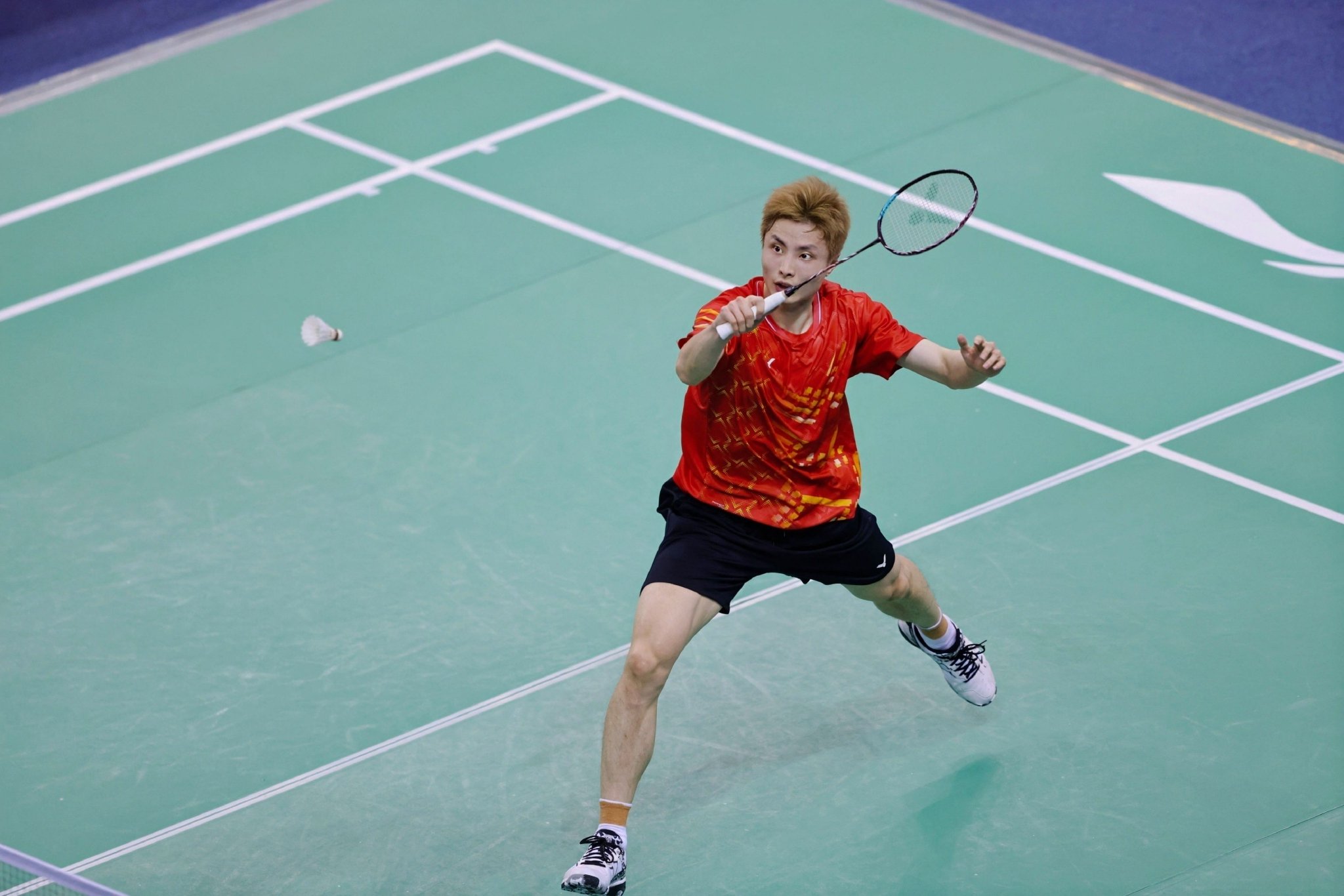 包含中国羽毛球队险胜韩国羽毛球队，陶菲克统治全场的词条